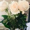 laylaalth34